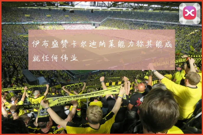 伊布盛赞卡尔迪纳莱能力称其能成就任何伟业