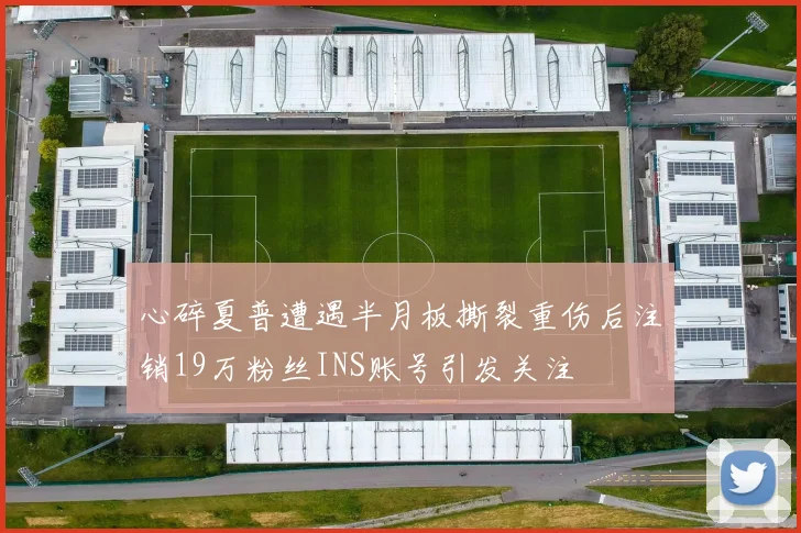 心碎夏普遭遇半月板撕裂重伤后注销19万粉丝INS账号引发关注